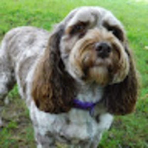 Meet your Posher, Glennes